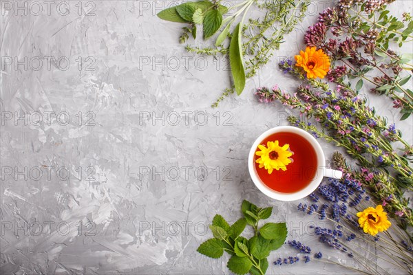 Cup of herbal tea with calendula, lavender, oregano, hyssop, mint and lemon balm on a gray concrete background. Morninig, spring, healthy drink concept. Flat lay, top view, copy space