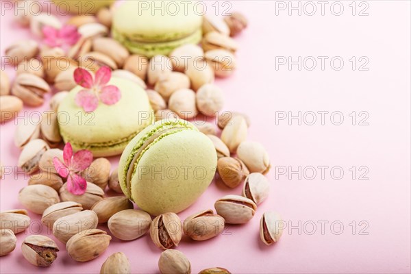 Green macarons or macaroons cakes with pistache nuts on pastel pink background. side view, close up, selective focus, copy space
