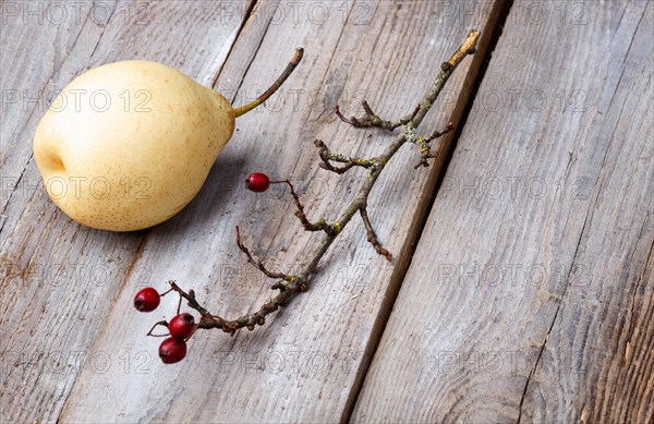 Branches with red berries and pear on a rustic wooden background. stillife