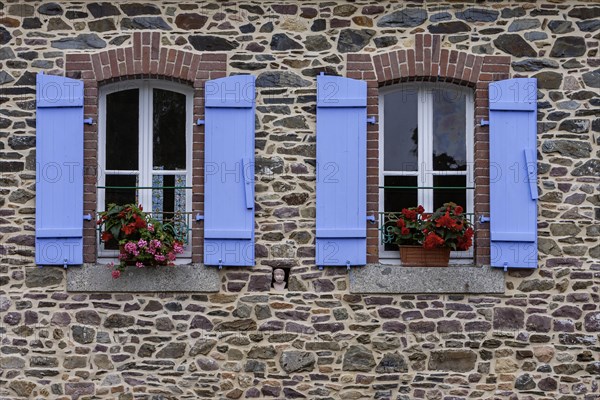 Two windows in a granite house, blue shutters, floral decoration, Pontrieux, Departement Cotes dArmor, Brittany, France, Europe