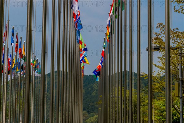 Flags from several nations flying on chrome flagpoles with trees and blue sky in background in South Korea