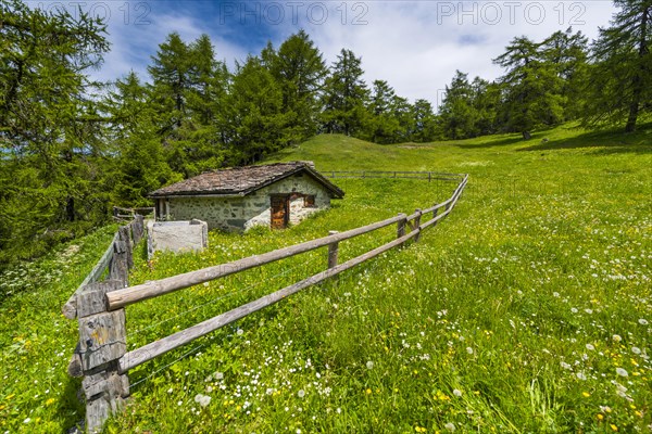 Swiss mountain hut in the Valais Alps, nature, hut, alpine pasture, mountain pasture, idyllic, idyllic, flower meadow, alpine landscape, lovely, romantic, refuge, shepherd, tourism, travel, holiday, summer, summery, picturesque, scenery, Valais, Switzerland, Europe