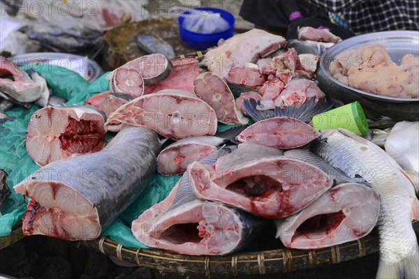 Local woman selling fish, near Bagan, Mandalay Division, Myanmar, Asia