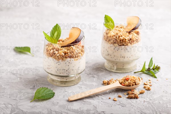 Yoghurt with plum, chia seeds and granola in a glass and wooden spoon on gray concrete background. side view, close up