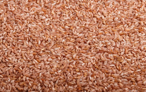 Texture of unpolished brown rice. Side view, close up, macro. Natural background