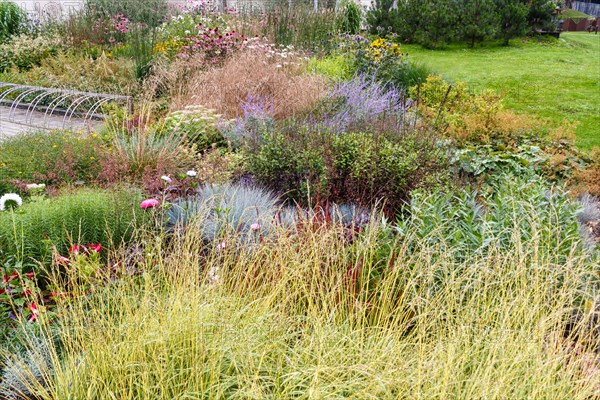 Complex flower bed of perennial plants in the city park. Druskininkai, Lithuania, Europe