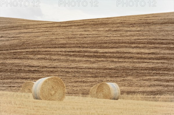 Harvested fields south of Siena, Crete Senesi, Tuscany, Italy, Europe