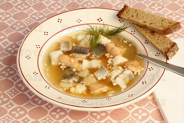 Swabian cuisine, Lake Constance fish pot, fish soup, healthy eating, broth, fillet of pike, char, pikeperch, fish leftovers, pieces of fish, herbs, dill, soup plate, soup spoon, sliced bread, food, studio, fish dish, cooking, typical Swabian, Germany, Europe