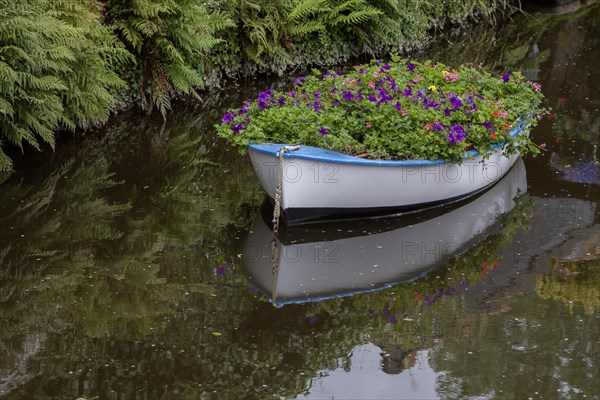 Boat planted with flowers, river Trieux, Pontrieux, Departement Cotes dArmor, Bretagne, France, Europe