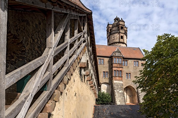 Fortifications, battlements at the Zwinger, Zinzendorfbau, keep, castle tower, Ronneburg Castle, medieval knight's castle, Ronneburg, Ronneburger Huegelland, Main-Kinzig-Kreis, Hesse, Germany, Europe