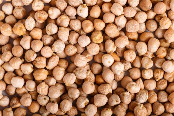 Texture of chickpeas. Top view