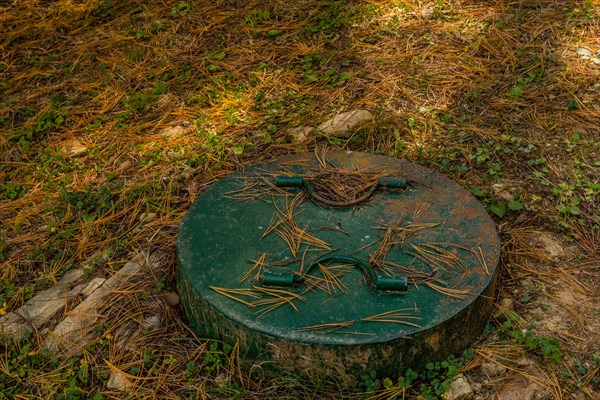 Green manhole cover in shaded clearing in public park in South Korea