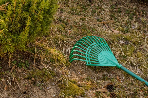 Green rake laying on hillside beside evergreen bush in South Korea