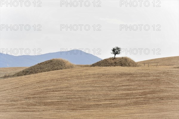 Harvested fields south of Siena, Crete Senesi, Tuscany, Italy, Europe