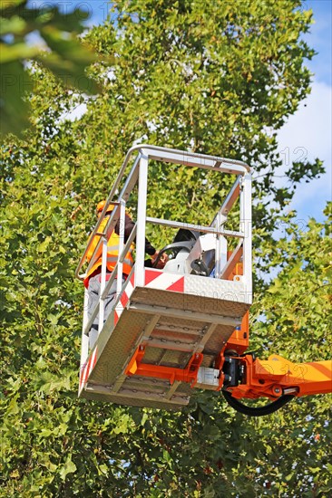 Workers on the work platform pruning or maintaining trees