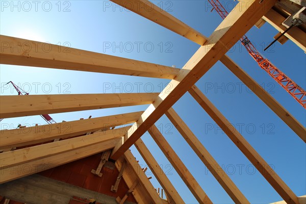 Timber construction and carpentry work on a new residential building