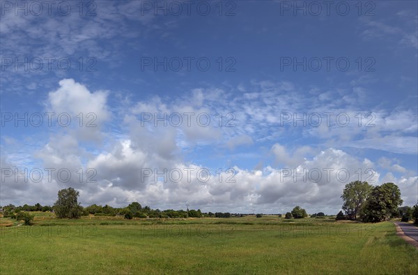 Meadow landscape near Rehna, cloudy sky, Mecklenburg-Voirpommern, Germany, Europe