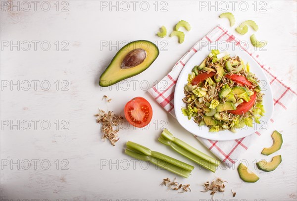 Vegetarian salad of celery, germinated rye, tomatoes and avocado on linen tablecloth, top view, copy space