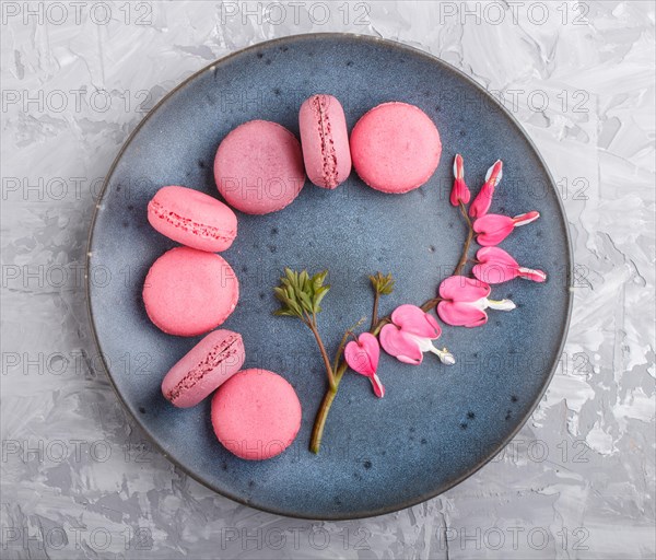 Purple and pink macaron or macaroon cakes with bleeding heart flowers on blue ceramic plate on a gray concrete background. Flat lay, top view