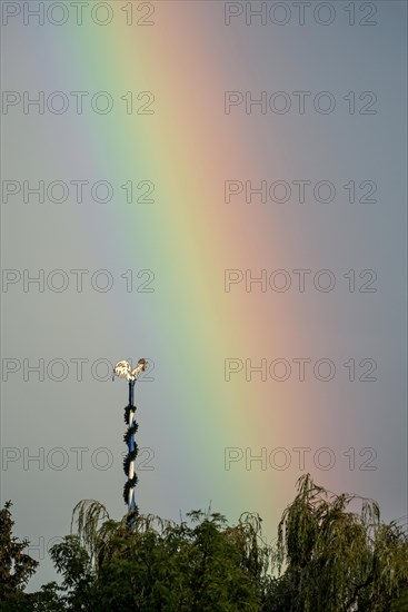 Figure of a rooster, weathercock on maypole in front of rainbow, Marzling, Upper Bavaria, Bavaria, Germany, Europe