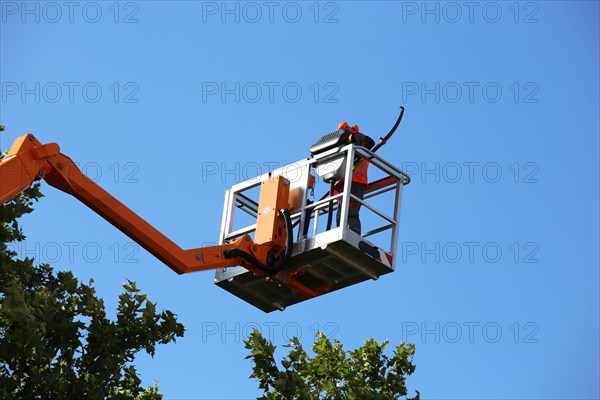 Workers on the work platform pruning or maintaining trees