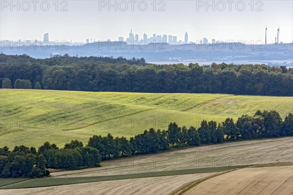 View of Frankfurt am Main, skyline of skyscrapers, fields, forest, Ronneburger Huegelland, Ronneburg, Main-Kinzig-Kreis, Hesse, Germany, Europe