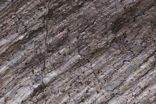 The texture of natural stone, sandstone, limestone, granite