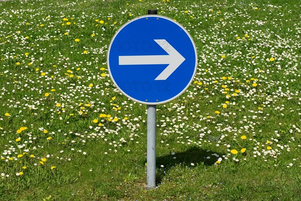 Sign go to the right Munich, Upper Bavaria, Germany, Europe