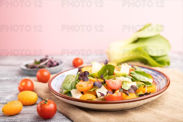 Vegetarian salad of pac choi cabbage, kiwi, tomatoes, kumquat, microgreen sprouts on gray and pink background and linen textile. Side view, close up, selective focus, copy space