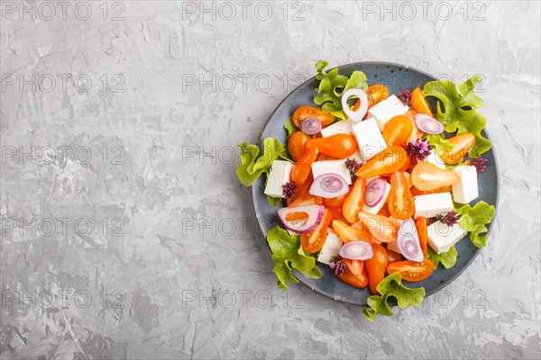 Vegetarian salad with fresh grape tomatoes, feta cheese, lettuce and onion on blue ceramic plate on gray concrete background, top view, copy space, flat lay