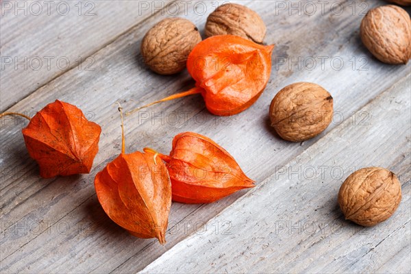 Walnuts and red physalis on rustic wooden background with copy space