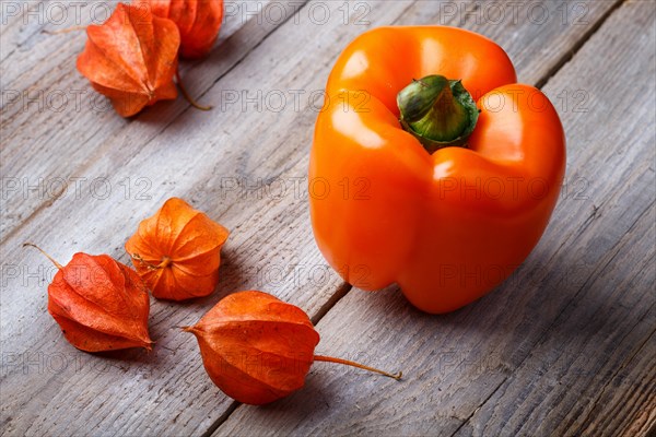 Orange pepper and red physalis on rustic wooden background with copy space