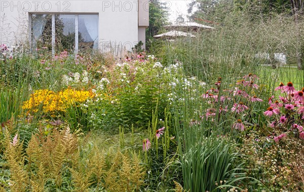 Complex flower bed of perennial plants in the city park. Druskininkai, Lithuania, Europe