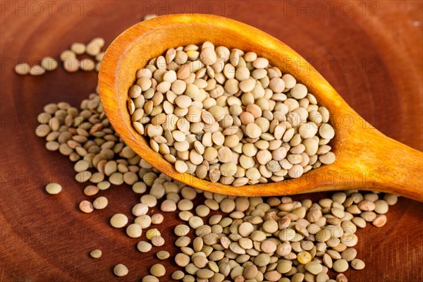 Pile of green lentils in a wooden spoon on brown background. Closeup
