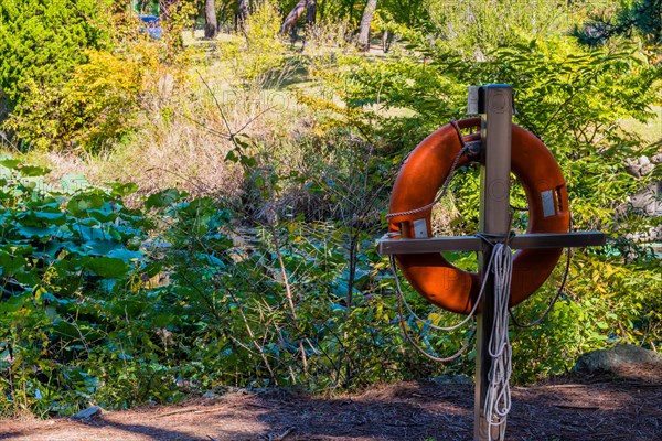 Orange lifesaver doughnut hanging on post next to pond in local public park in South Korea