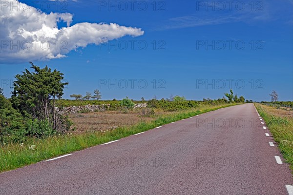 Empty country road with white markings and clear blue sky, stony landscape, Oeland, Sweden, Europe