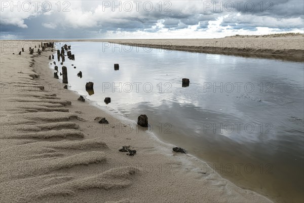 Mouth of the Henne Molle A into the North Sea, Henne, Region Syddanmark, Denmark, Europe