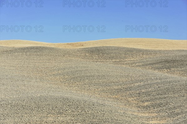 Harvested wheat field, landscape north of Sorano, Tuscany, Italy, Europe