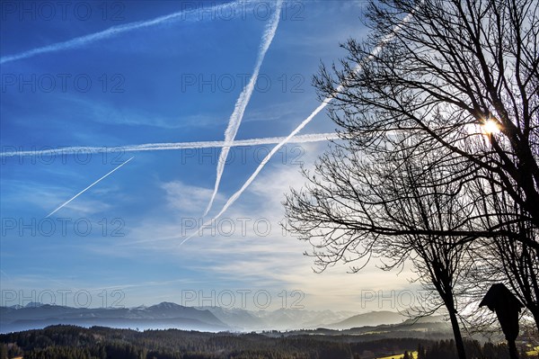 Condensation trails and Alpine panoramas, Buchenberg, Allgaeu, Bavaria, Germany, Europe