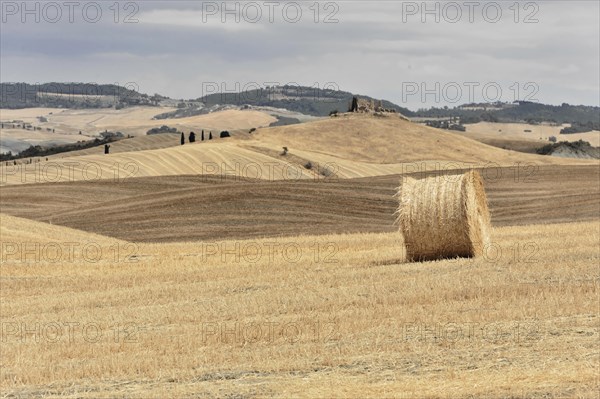 Harvested fields south of Siena, Crete Senesi, Tuscany, Italy, Europe