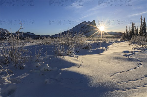 Winter landscape in front of mountains, sunrise, backlight, sun star, Brooks Range, Alaska, USA, North America