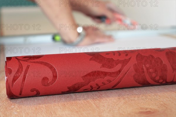 Craftsman (painter) for wallpapering work
