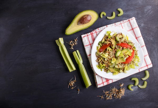 Vegetarian salad of celery, germinated rye, tomatoes and avocado on linen tablecloth, top view, copy space, black background