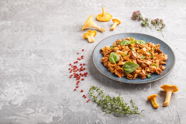 Fried chanterelle mushrooms with basil and spice herbs on gray concrete background. Side view, copy space