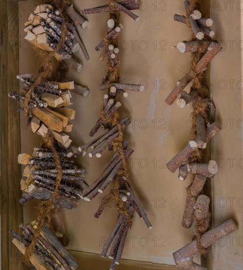 Pieces of wood used to make oriental medicine tied together with hemp rope and hanging on wall in South Korea