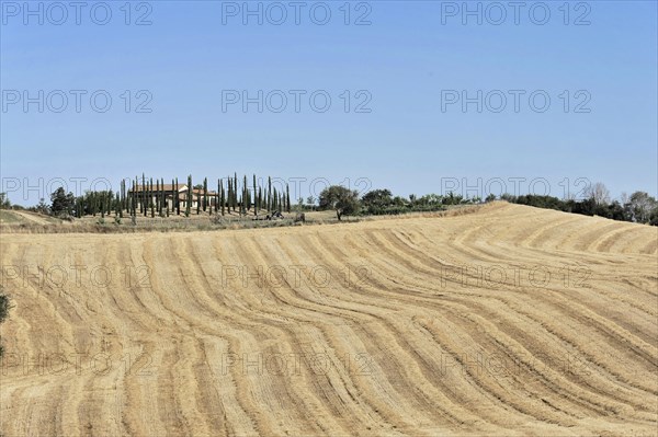 Harvested wheat field, landscape north of Sorano, Tuscany, Italy, Europe