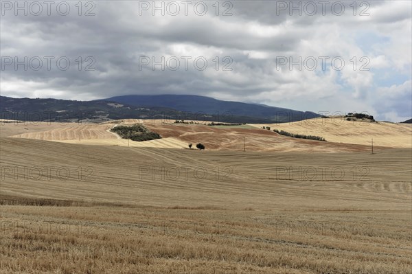 Harvested fields south of Siena, Crete Senesi, Tuscany, Italy, Europe