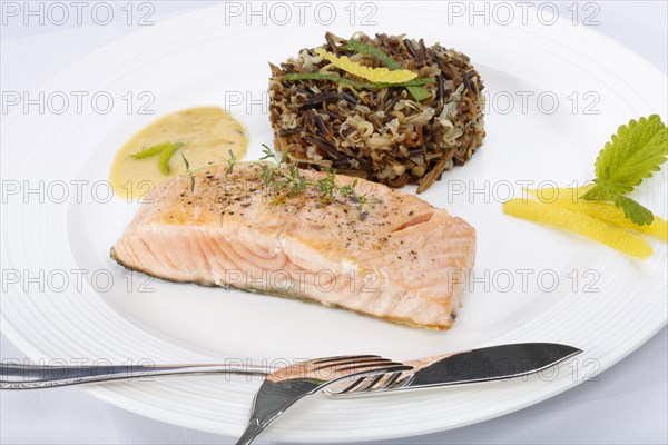 Southern German cuisine, fillet of Dreisam salmon with wild rice and lemon sauce, salmon fillet, healthy eating, decoration, lemon peel, herbs, lemon balm, food plate, fish cutlery, appetising, food, studio, fish dish, cooking, Germany, Europe