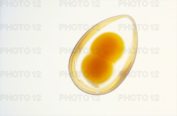 Egg with twin yolk