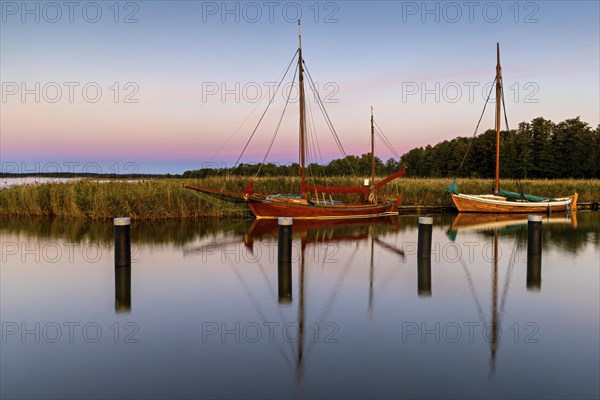 Old sailing boats in the harbour of Wieck on the Darss in the morning light